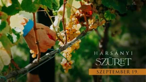 Harsányi Élményszüret 2026