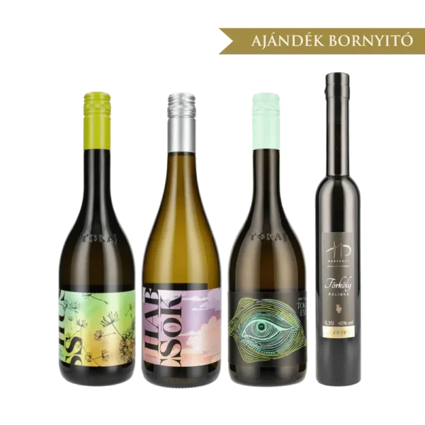 Tanévnyitó